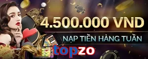 topzo